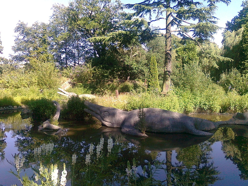 forest, reflection, stonework, architecture, animal wildlife, one animal, alligator, Dinosaur, wildlife, green Color, vertebrate, animal themes, outdoors