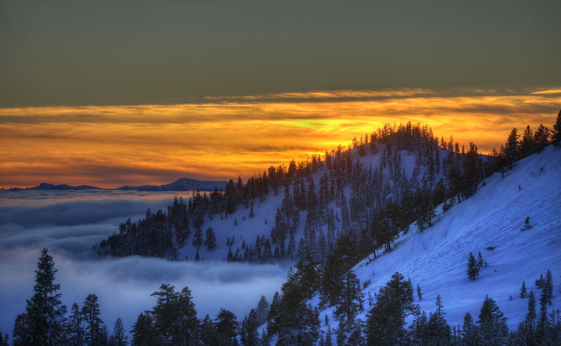 trees, landscape, day, Mt, HDR Photography, forest, distance, 4K, mountain, scenics, outdoor, photo, outdoors, RAW, beauty In Nature, Incline Village  Nevada