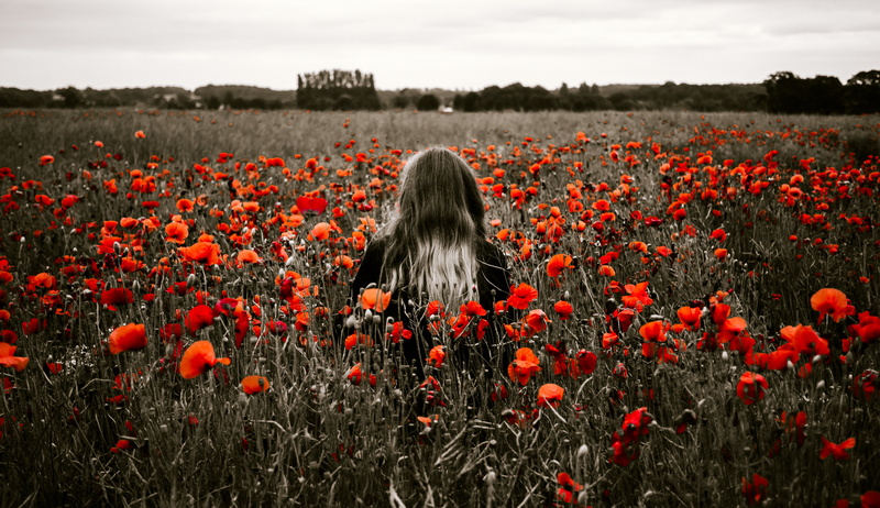 flowers, farm, landscape, rear view, agriculture, poppy, beauty in nature, grass, 4K, daytime, adult, one person, petaled, nature, red, flowerbed, hair