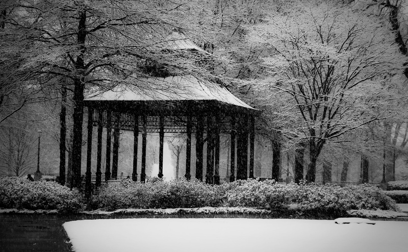no people, gazebo, Alabama, Tree, Snowy, outdoors, nature, pagoda, built structure, forest, Park, Bench, Birmingham, architecture, Linn Park, gnarly, trees