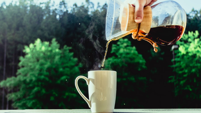 hot drink, outdoors, focus on foreground, coffee cup, one person, mug, drink, united states, finger, holding, refreshment, alabama, forest, nature, glass