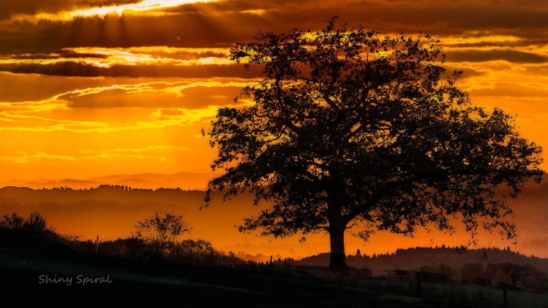 worcestershire, 1080P, sunset, valleys, near-birmingham, lickey-hills