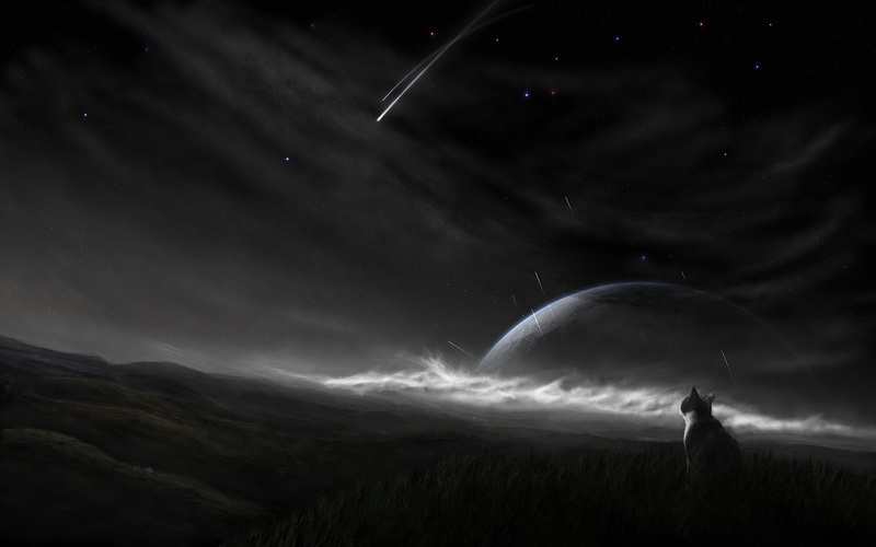 cat, planet, moonlight, night, astronomy, space art, dark, one person, outdoors, standing, silhouette, power in nature, black, land, star - space, space