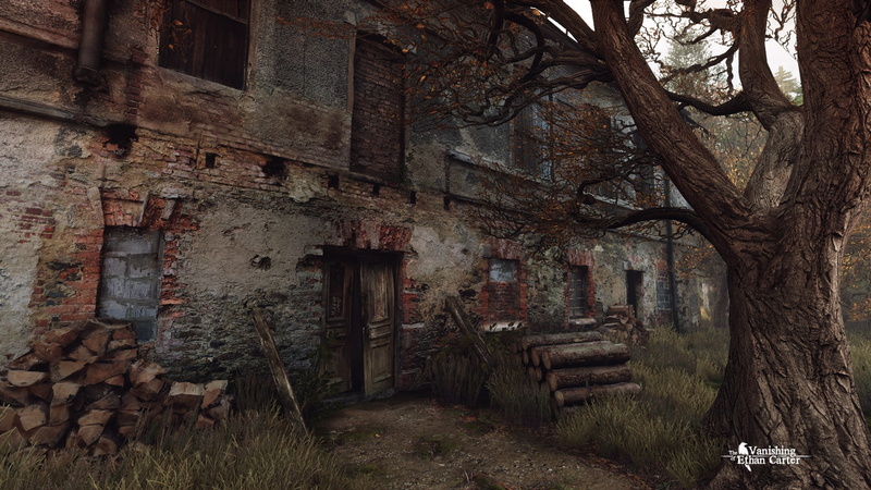 building exterior, building, wall - building feature, 1080P, alley, old, abandoned, window, house, built structure, plant, the way forward, tree, residential district
