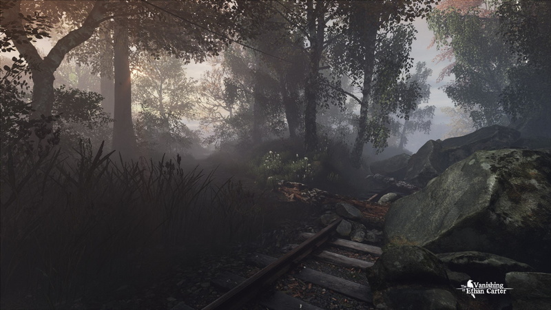 rock - object, beauty in nature, video games, 1080P, tranquil scene, day, plant, land, fog, environment, non-urban scene, nature, outdoors, growth, remote