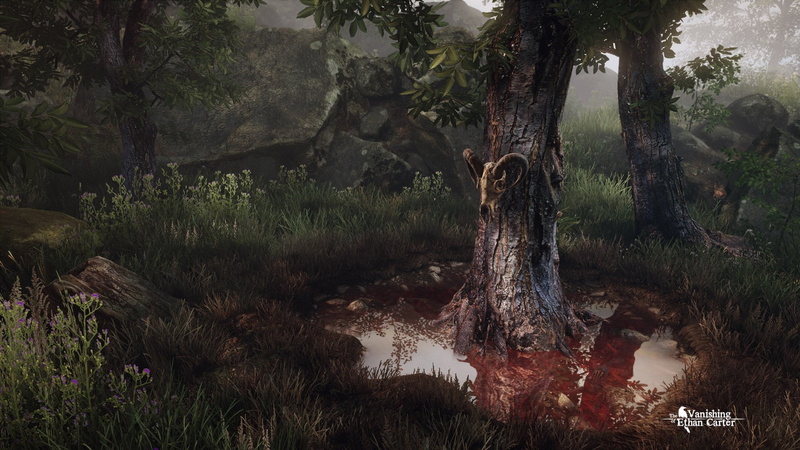 plant, scenics - nature, tranquil scene, water, beauty in nature, 1080P, outdoors, grass, puddle, digital, no people, non-urban scene, field