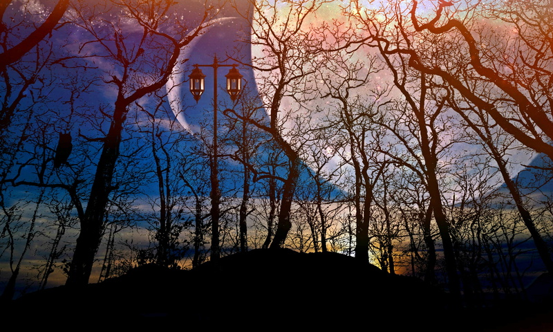 outdoors, night sky, moon, land, trees lantern, tree, bare, fantasy, branch, no people, aesthetic, architecture, trees, plant, light, 2K, fabulously scary