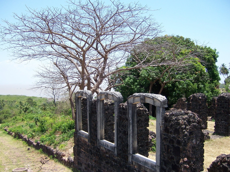 tombstone, no people, clear sky, bare tree, barrier, sky, plant, history, tranquility, nature, grave, day, growth, cemetery, outdoors, tranquil scene, boundary