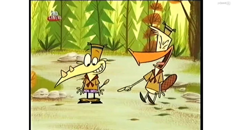 1080P, camp lazlo