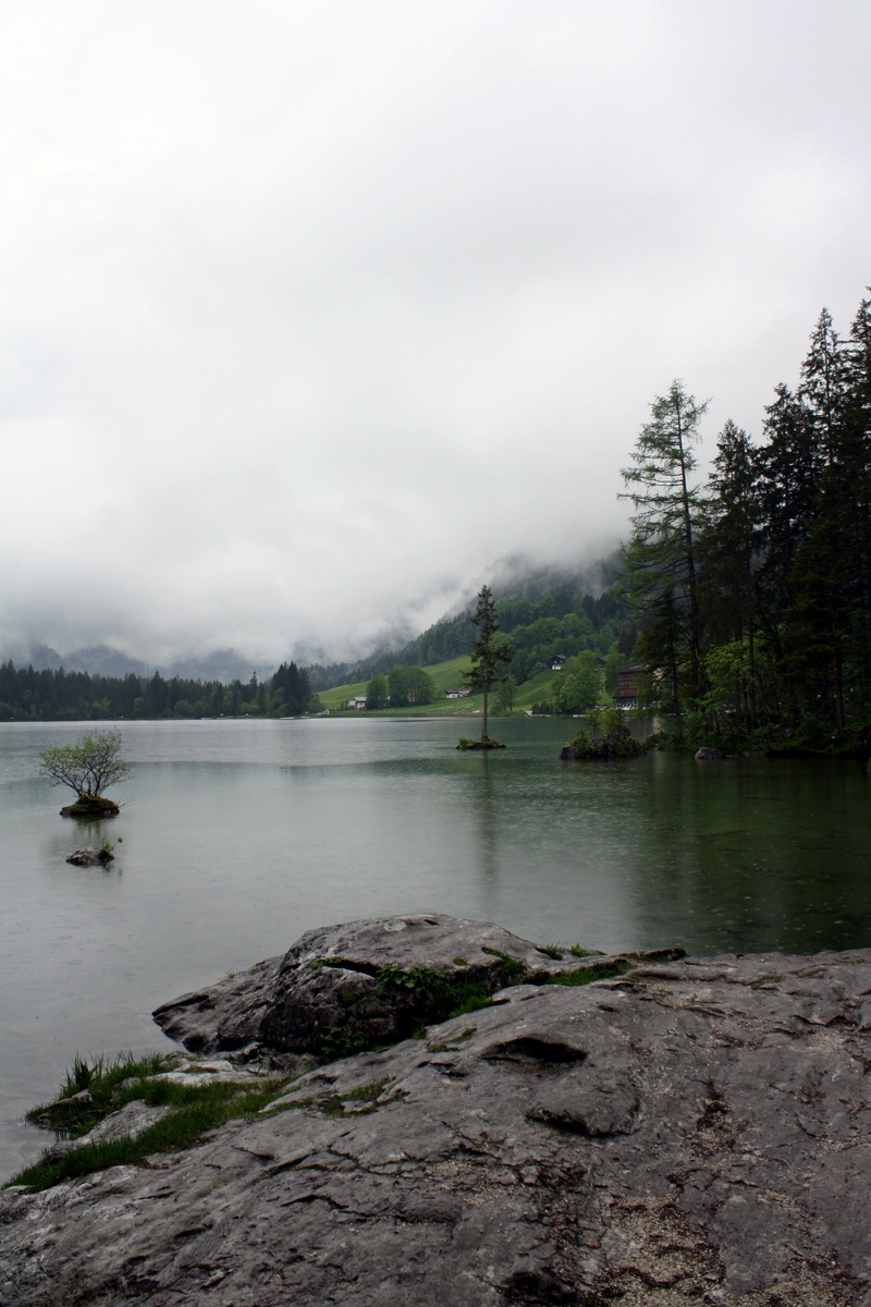 tranquility, bayou, bad weather photography, tree, Magic, outdoors, doom, lost places, melancholy, landscape, Mystical, edgar allan poe, moor, melancholic