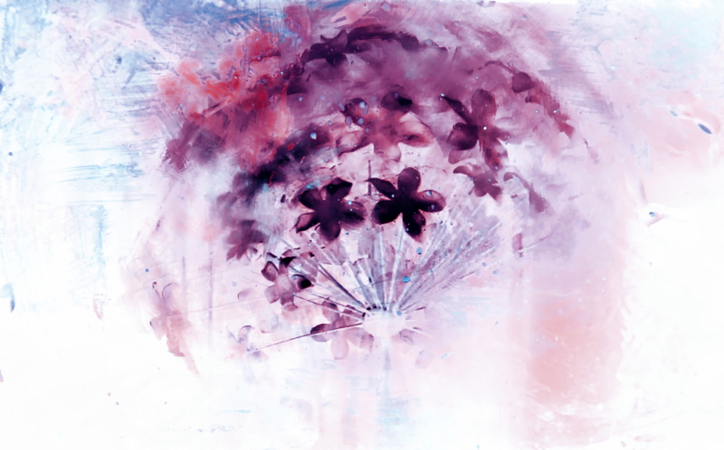 melancholic, nature, plant, enchanted, flowers, long exposure, painting, growth, flower, pink color, floral design, fantasy, inflorescence, vulnerability