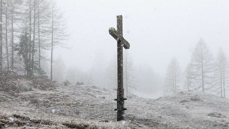 blizzard, alm, coniferous tree, Winter, land, woodland, landscape, day, pine woodland, tranquility, Cross, non-urban scene, Wintry, Snow, plant, austria