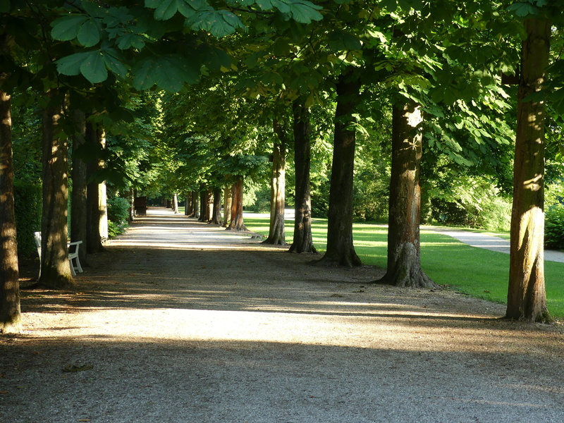 avenue, footpath, treelined, green color, away, road, melancholic, growth, schlossgarten, direction, castle garden, tranquility, plant, tree, park, the way forward