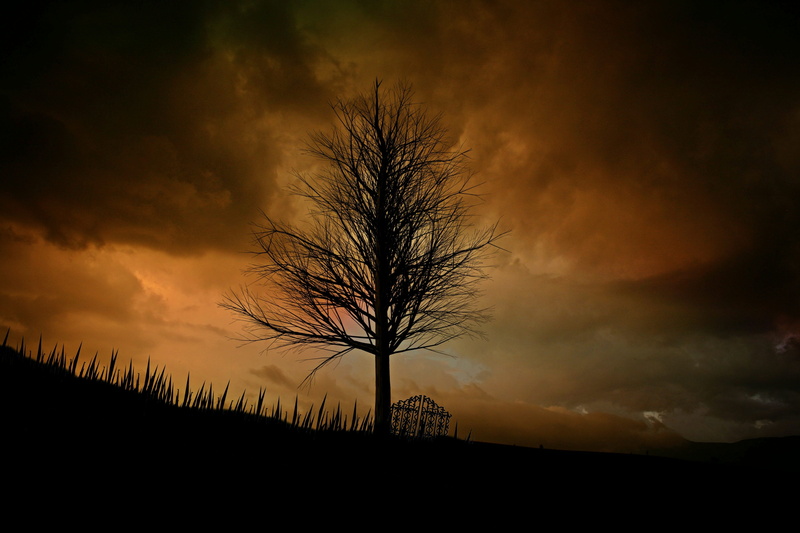gloomy, slope, beauty in nature, fence, nature, twilight, pasture, dramatic sky, meadow, sunset, evening, tranquility, back light, silhouette, cloud - sky