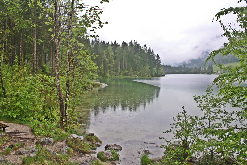 sky, bavaria, plant, ruhpolding, depressed, trekking, Gothic, outdoors, moor, lake, growth, badesee, nebelschleier, tranquility, Bayou, loneliness, day