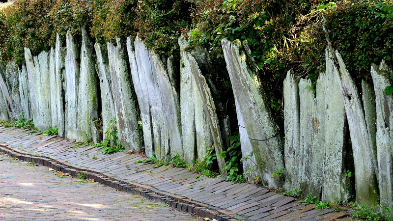 tree, seafaring, land, beauty in nature, whalebone, non-urban scene, fence from whale bones, historically, tranquility, plant, wood - material, bamboo - plant