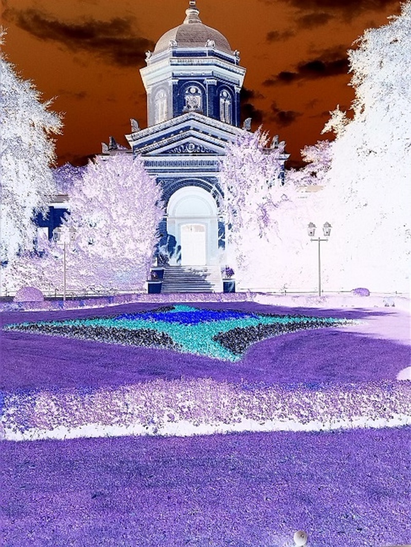 travel destinations, winter, street, inverted, day, nature, cemetery, tree, purple, city, architecture, sky, tower, false color, illuminated, building exterior