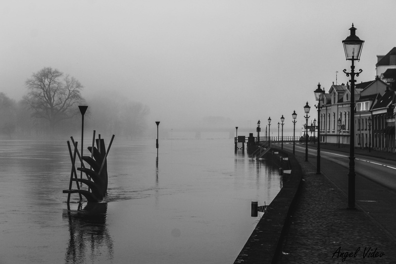 old, lake, tree, deventer, built structure, day, waterfront, wooden post, netherlands, exposure, black, building exterior, outdoors, vintage, tranquil scene