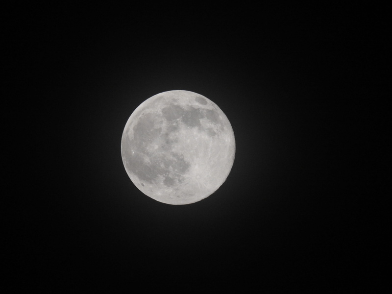 grass, night, idyllic, full, moon, dramatic, space and astronomy, full moon, outdoors, land, forest, fir, low angle view, fog, green, cloud, astrology