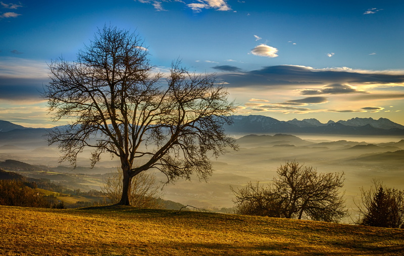 mountain, landscape, tree, tranquil scene, mood, plant, beauty in nature, outdoors, nature, carinthia, autumn, secret, koralpe, land, trees, foggy, orange