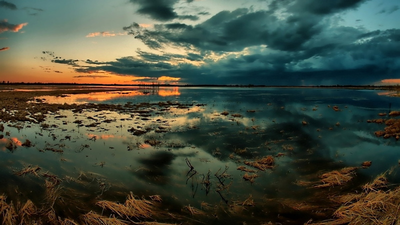 waters Edge, plant, yellow, tranquil Scene, coastline, sun, grass, sunrise - Dawn, gloom, rural Scene, autumn, sky, blue, no People, beauty In Nature, river