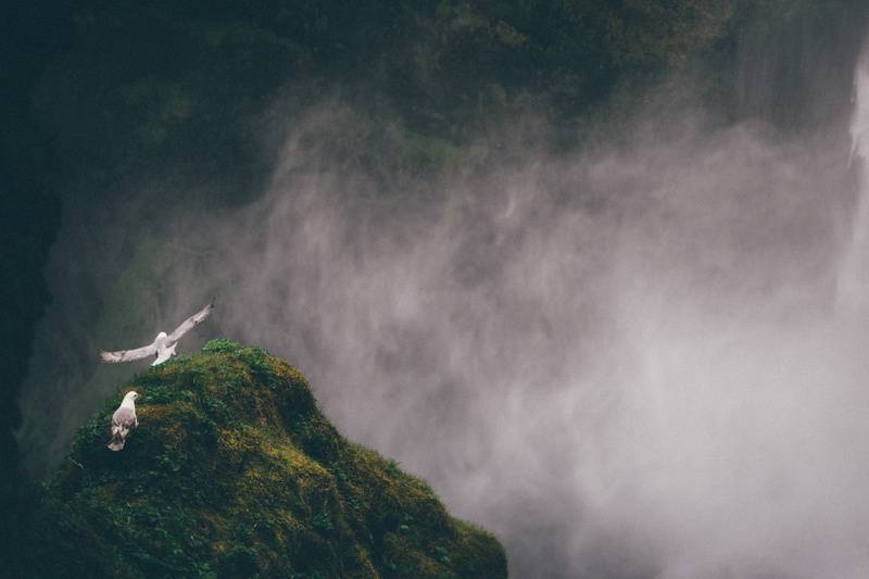 mountains, fog, gloom, birds, outdoors, sky, steam, rain, animal, tree, mountain, mist, 5K, no people, tranquility, plant, environment, scenics - nature
