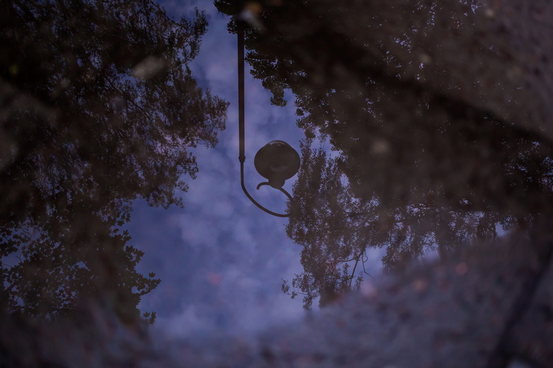 asphalt, rain, technology, reflection, moon, astronomy, beauty in nature, nature, dark, tree, no people, tranquil scene, low angle view, plant, 4K, architecture