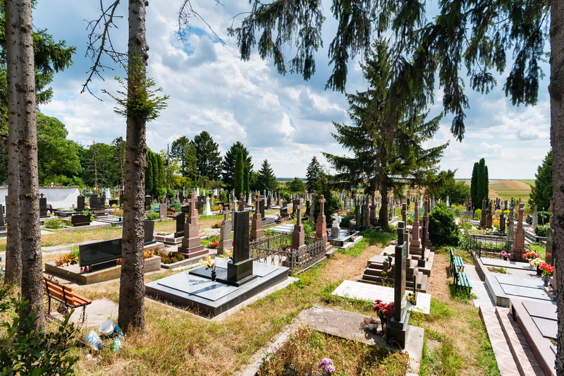 plant, architecture And Buildings, sky, cemetery, тернопіль, bus, tree, day, headstone, 4K, cloud - sky, no People, grave, Cemetery, sun, Religion, architecture