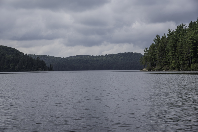 non-urban scene, nature, tranquil scene, canada, idyllic, park, tree, coniferous tree, view into land, scenics, public domain, color Image, landscapes