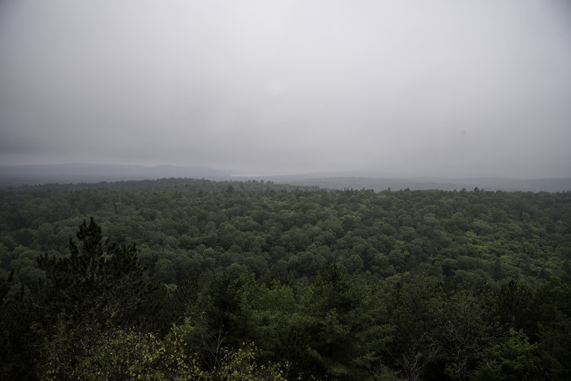green color, cloud - sky, foggy, non-urban scene, park, weather, 5K, plant, provincial, woodland, scenics, photos, growth, mountain, tranquility, fog