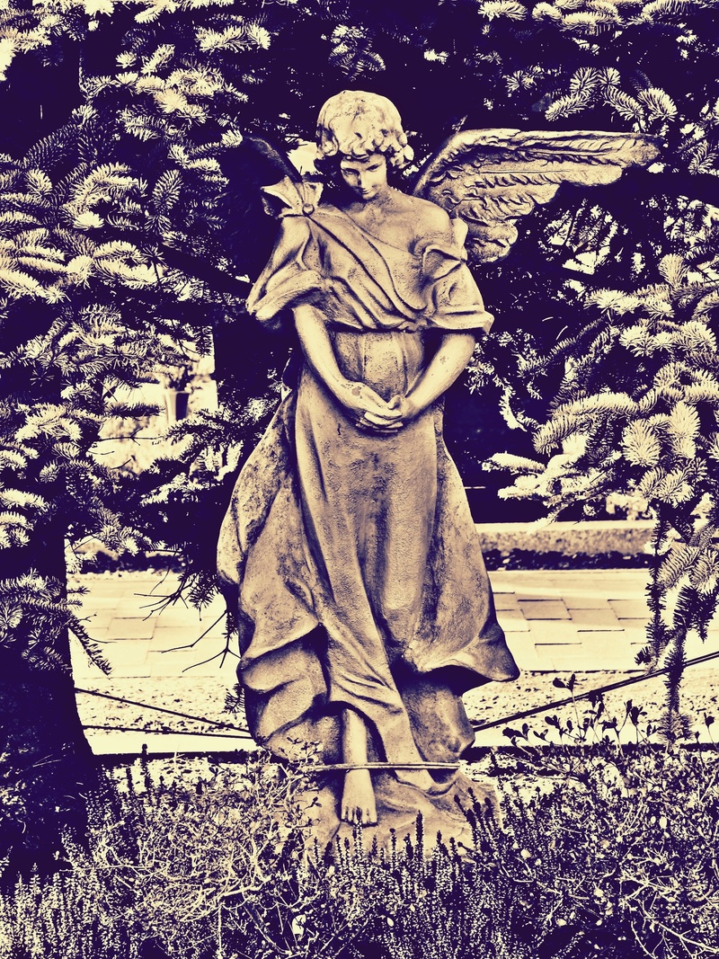 isolated, male likeness, sculpture, people, catholic, print, nature, isolated On White, grave, victorian Style, auto post production filter, antique, leaf