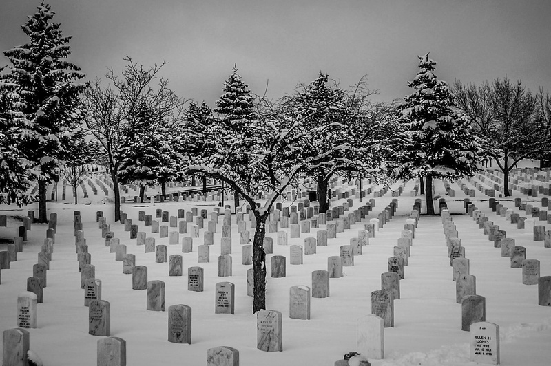 cold temperature, stone, tombstone, grave, history, the past, snow, no people, day, winter, in a row, tree, national gravesite, outdoors, 1080P, memorial