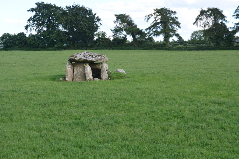 prehistoric, famous Place, growth, megalithic, day, ireland, plant, cultures, county cork, nature, the Past, landscape, environment, gravesite, no people