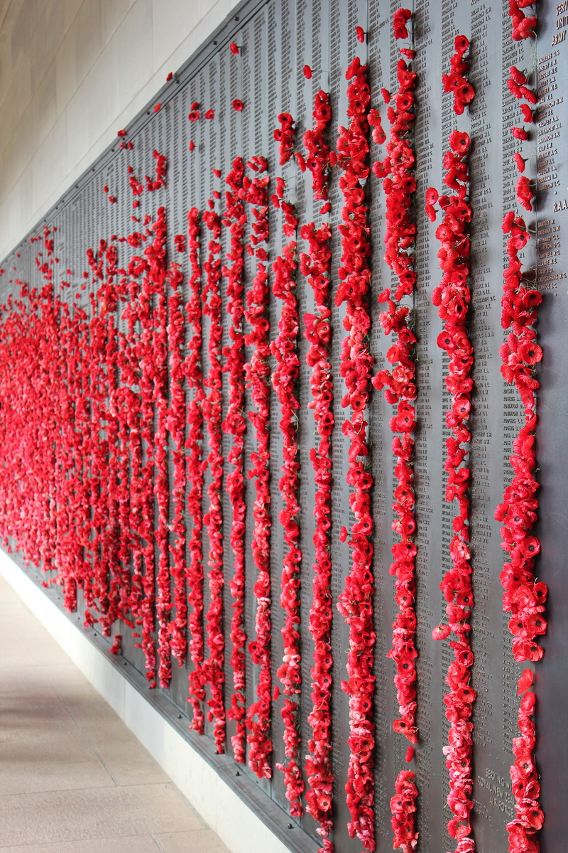 nature, repetition, in a row, high angle view, anzac, War, large group of objects, fruit, Poppies, no people, food and drink, agriculture, winemaking, Remembrance
