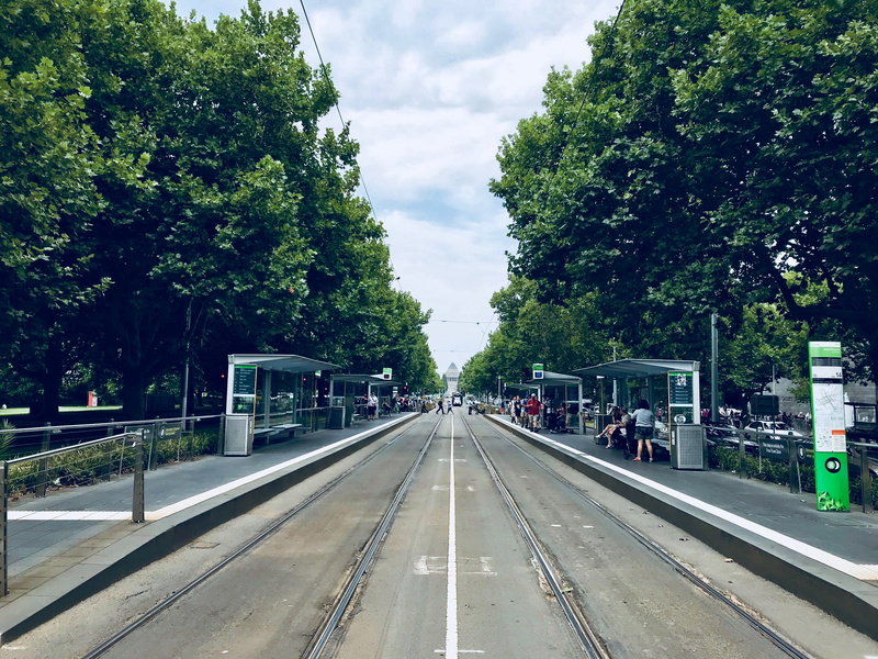 australia, day, vanishing point, arts precinct/st kilda rd, melbourne, long, incidental people, tree, diminishing perspective, direction, built structure