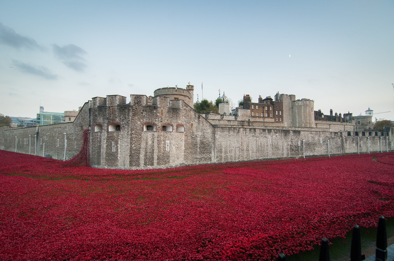 poppies, day, dom, tribute, ancient civilization, remembrance, the past, november, remember, armistice, respect, travel destinations, memorial, red, building