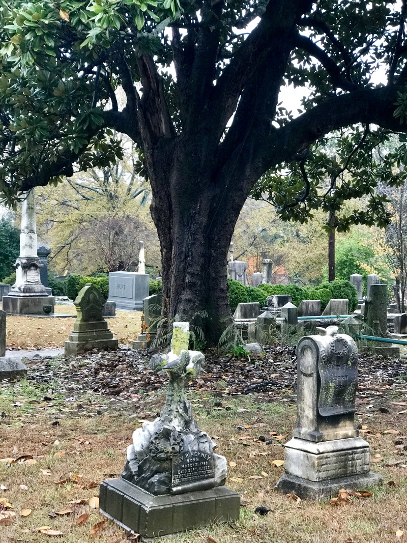 4K, solid, stone material, atlanta, statue, rip, creepy tress, history, grave yard, scary, halloween, civil war, creepy, park - man made space, outdoors