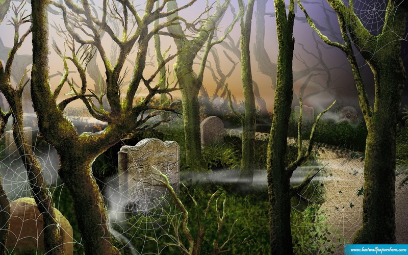 grave yard, sunset, web, trees, headstone, yard, spooky, death, 1080P, fall, green, tombstone, halloween, grave, dead