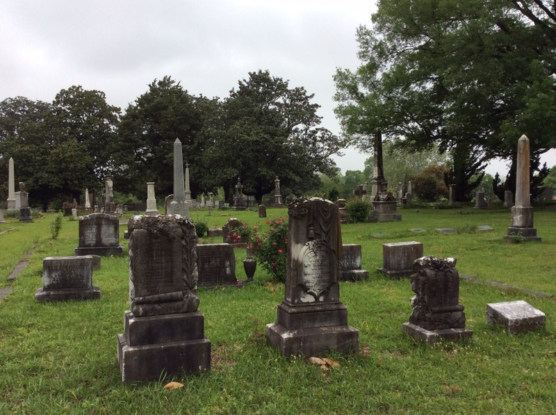 memorial, grave, spirituality, history, the past, tree, tombstone, no people, plant, sadness, 1080P, stone, cemetery, outdoors, sky, religion, graveyard