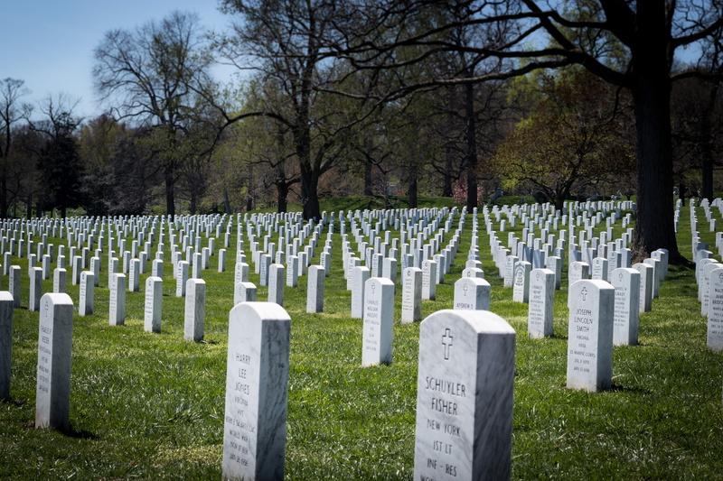 day, stone, headstones, plant, arlington national cemetery, military grave, outdoors, war, 5K, honor, tree, memorial, emotion, sadness, grass, respect
