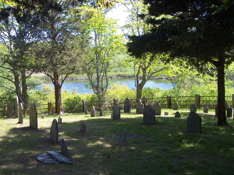 gravestones, outdoors, green color, sunlight, 2K, tree trunk, cemetery, headstones, grass, tree, tranquility, pond, trunk, day, park, nature, plant, growth
