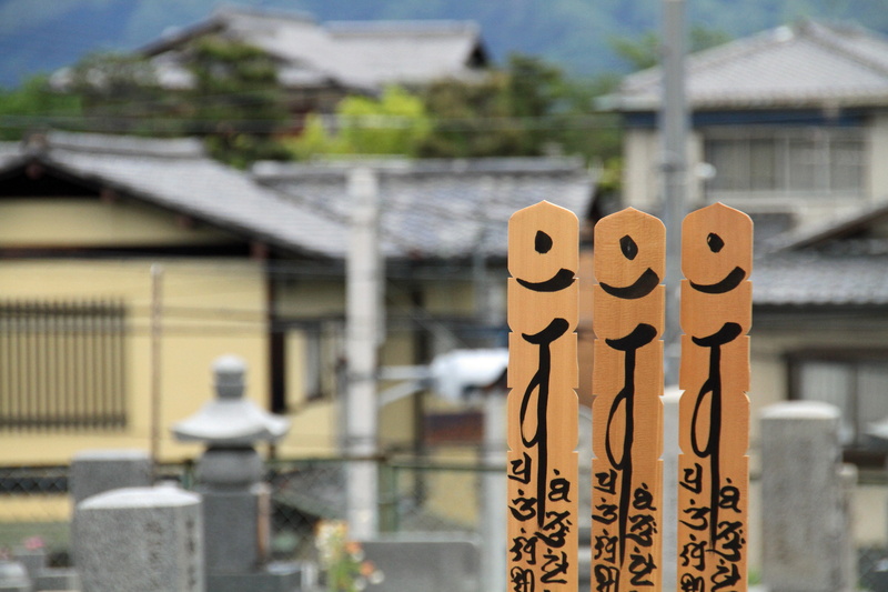building exterior, boundary, wood - material, graveyard, asian, metal, barrier, sunlight, day, fence, nature, security, architecture, headstone, building