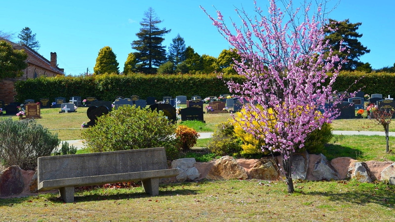Blossom, Religious, Cemetery, Australia, Bench, Headstone, Lithgow, Grave, Tree, 1080P