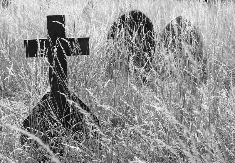 tombstone, nature, grayscale, no people, barrier, cemetary, plant, landscape, field, sign, 2K, cross, fence, dry, history, grave, growth, grass, land