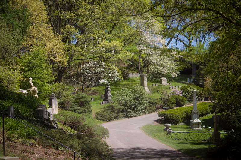 mount auburn cemetery, spring, path, cambridge, tranquility, sunlight, nature, tree, scenics - nature, flowers, love, direction, united states, park - man made space