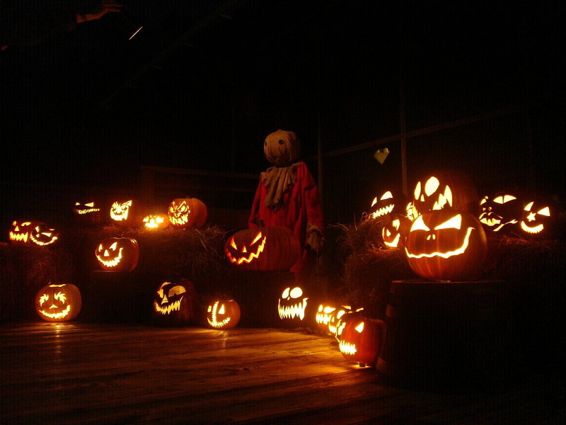 halloween, treat, dark, horror, film, pumpkin, trick, movie, thriller, 1080P
