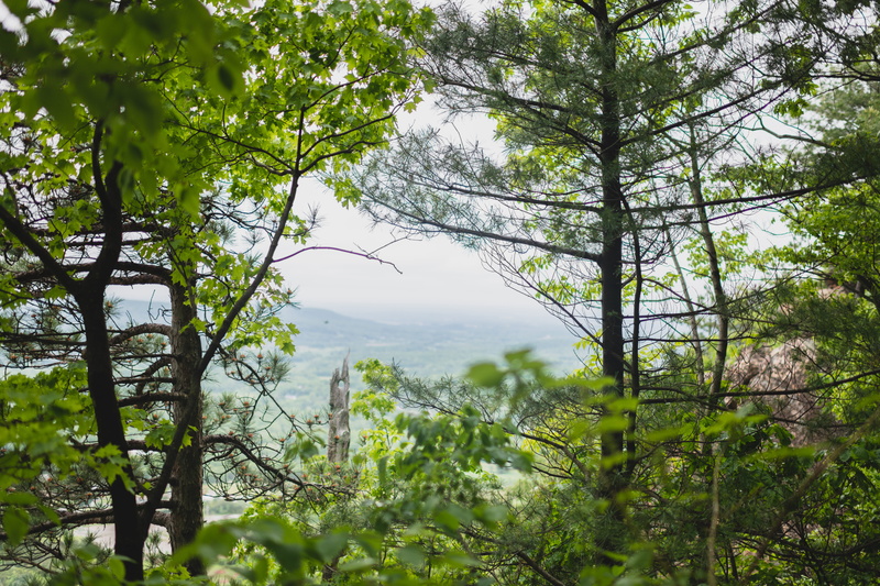 8K, lush foliage, growth, mountains, tranquil scene, hiking, forest, tranquility, scenic, no people, beauty in nature, outdoors