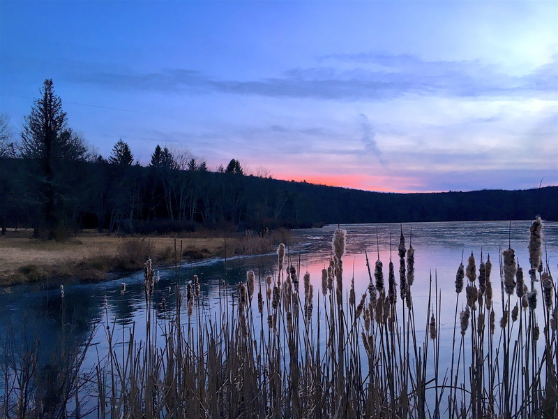 countryside, light, hiking, scenics - nature, reeds, picturesque, outdoors, Sunset, 4K, tree, orange, rural, wild, scene, Lake, sunset, forest, sun, water