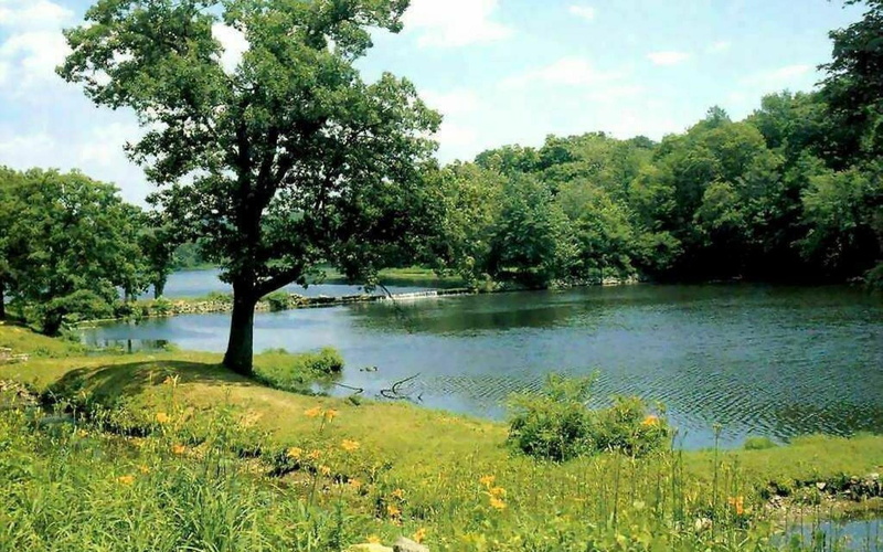 leaf, lakes, trees, nature, new jersey, jersey, fields, nature and landscapes, natural, new, tree, lscape, 1080P, green