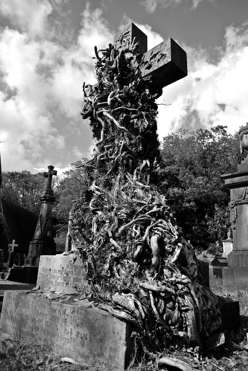 mono, stone, belief, photo, england, outdoors, brighton, europe, autumn, building, memorial, spirituality, sussex, britain, black And White, 4K, white